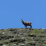 Aosta Maisongnemaz